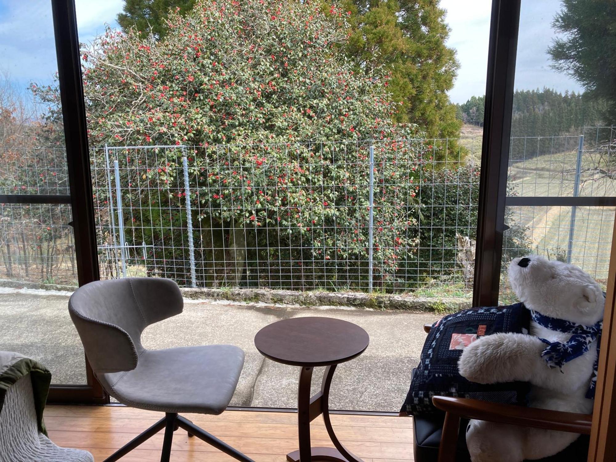 体験型農家民泊「お陽さまと風」 Apartment Bungoono Exterior photo